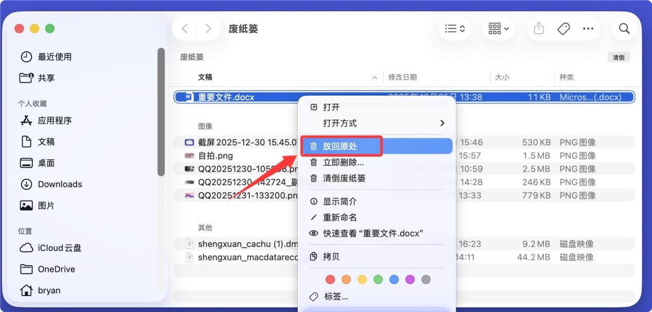 帮助恢复苹果电脑上已经删除的文件
