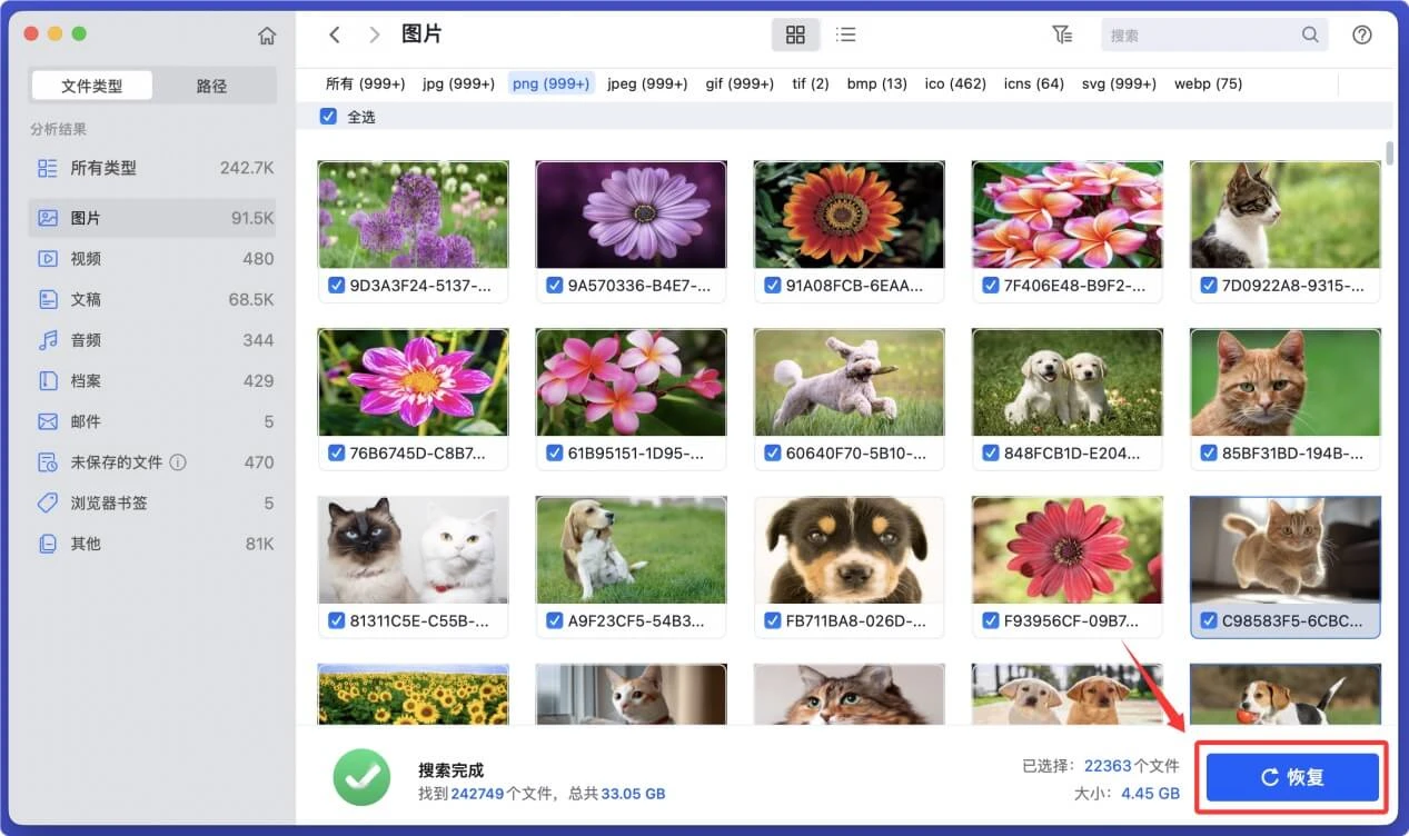 如何选择一款合适的Mac数据恢复软件