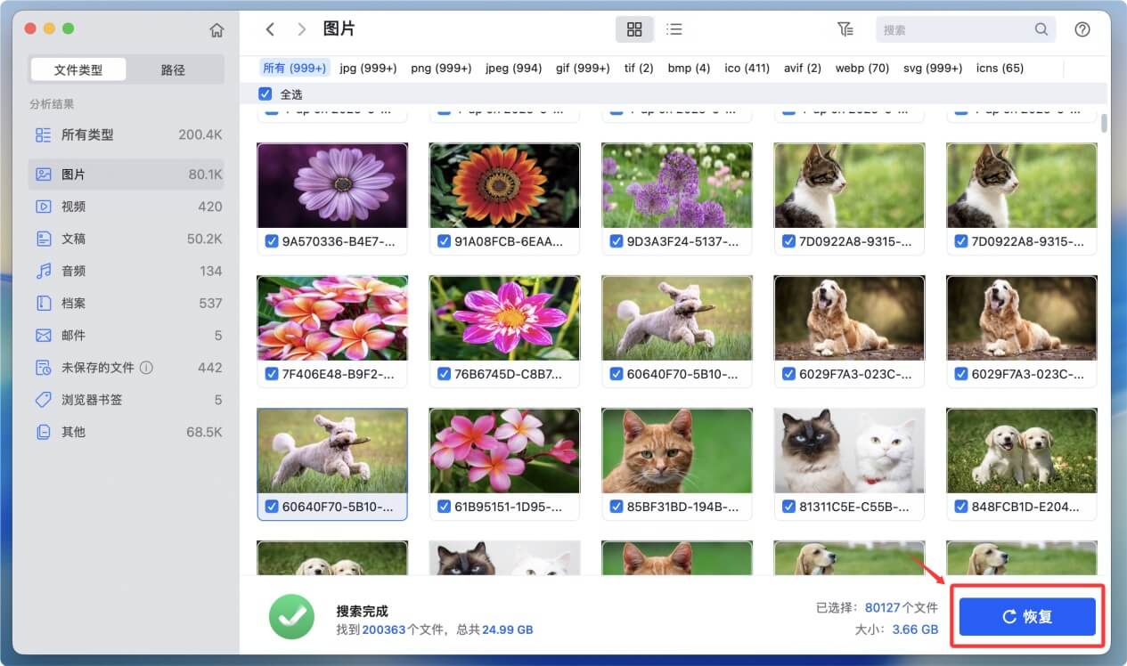 恢复因Command+Delete删除的Mac文件