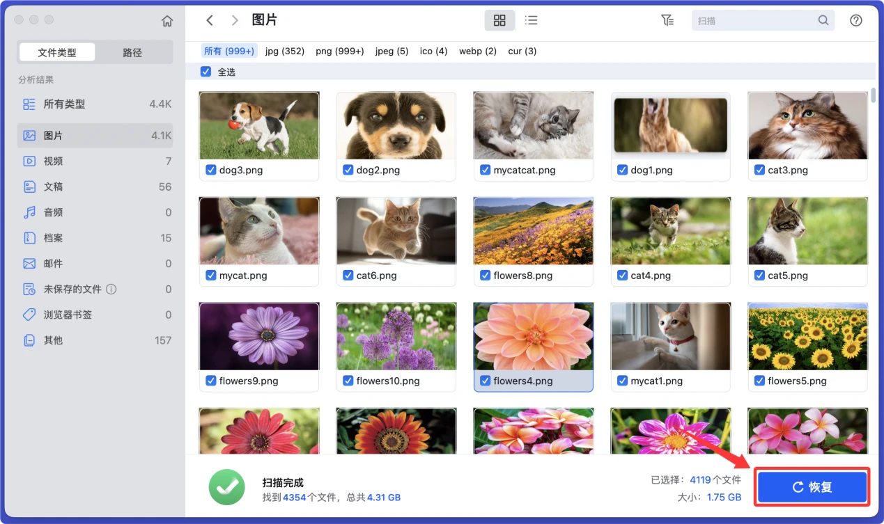 在Mac上修复存储卡