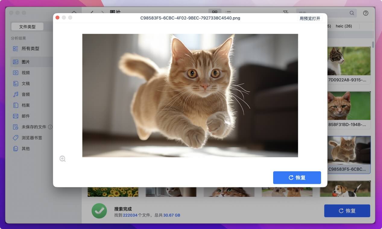 恢复macOS Monterey中丢失的文件数据