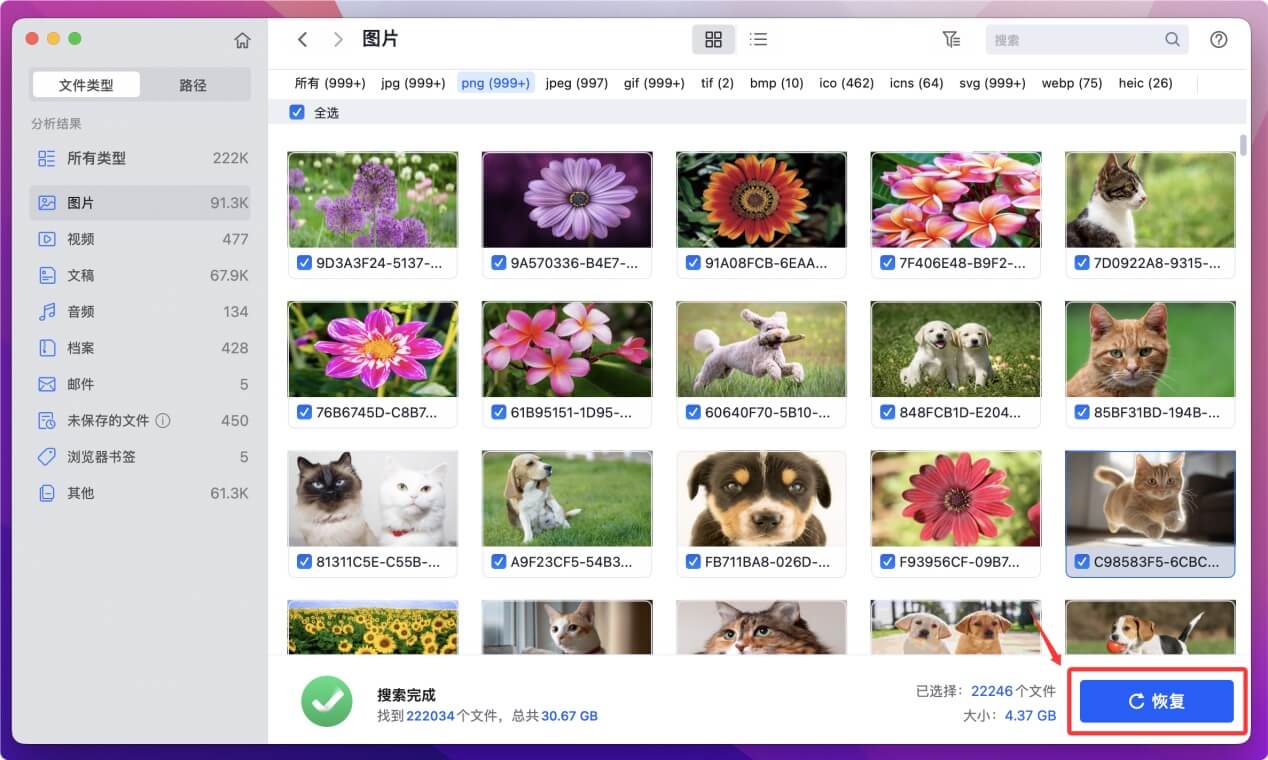 恢复macOS Monterey中丢失的文件数据