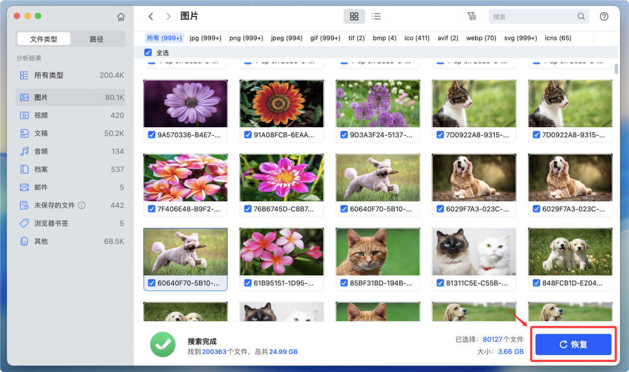 在macOS Tahoe上恢复已经删除、永久删除的文件