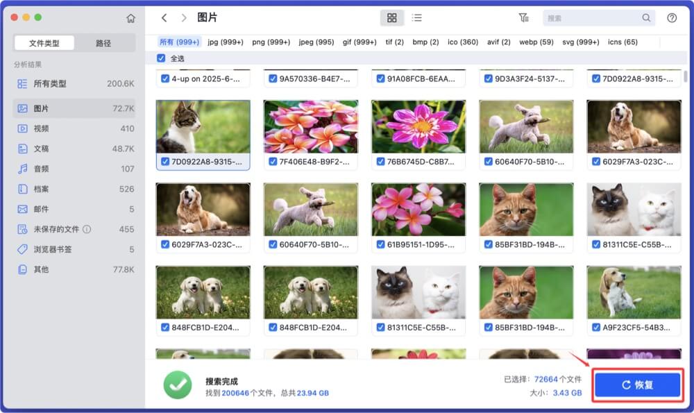 恢复从Mac桌面删除和丢失的文件