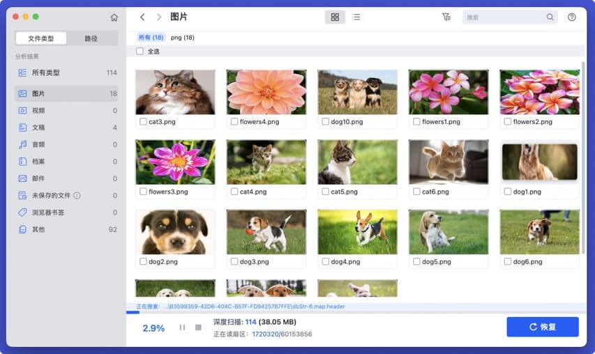 闪迪存储卡无法在Mac上被读取
