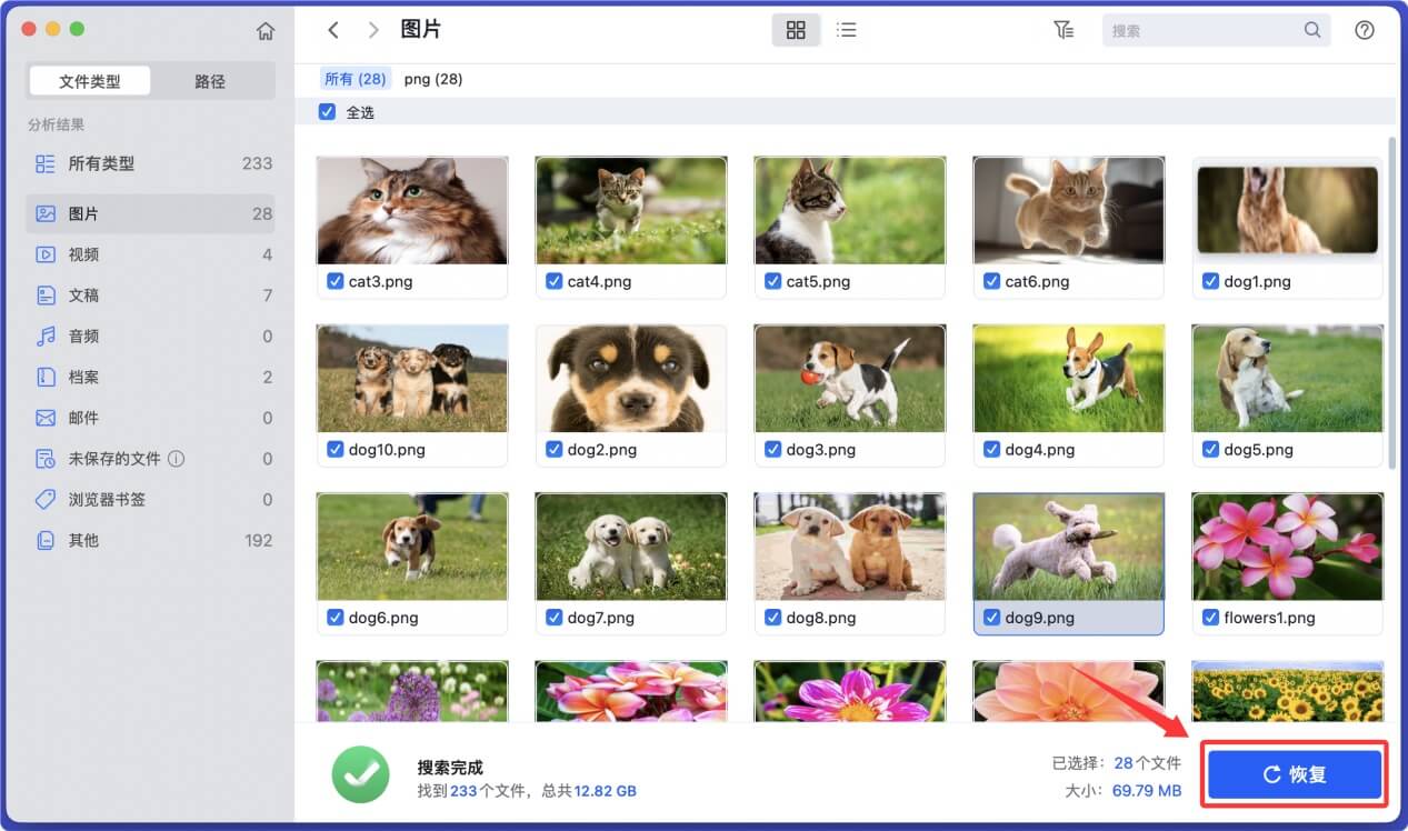 在Mac上从microSD卡中恢复删除和丢失的数据