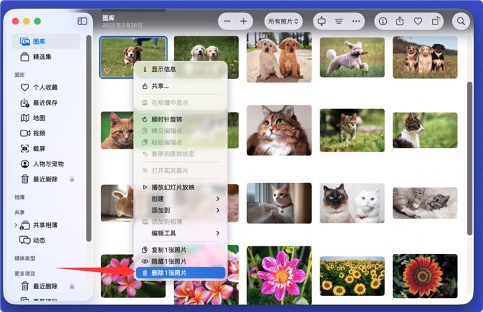 永久地删除Mac上的照片和图片文件
