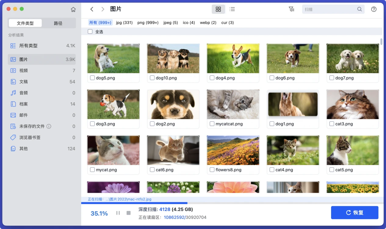 在Mac上从格式化后的SD卡中恢复数据