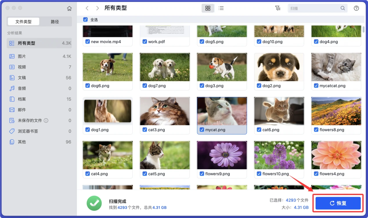 U盘插入Mac后变成空白了