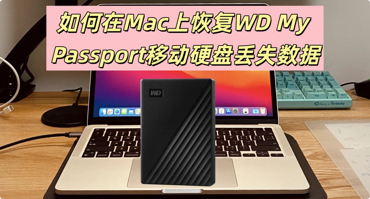 在Mac上恢复WD My Passport移动硬盘