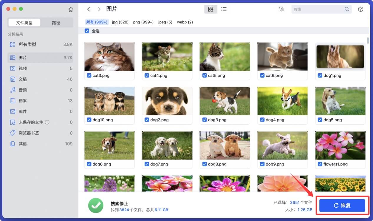 在Mac上从西部数码移动硬盘中恢复丢失的数据