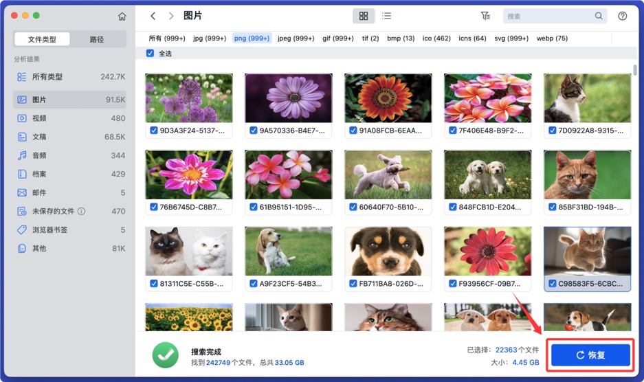 帮助恢复苹果电脑上已经删除的文件