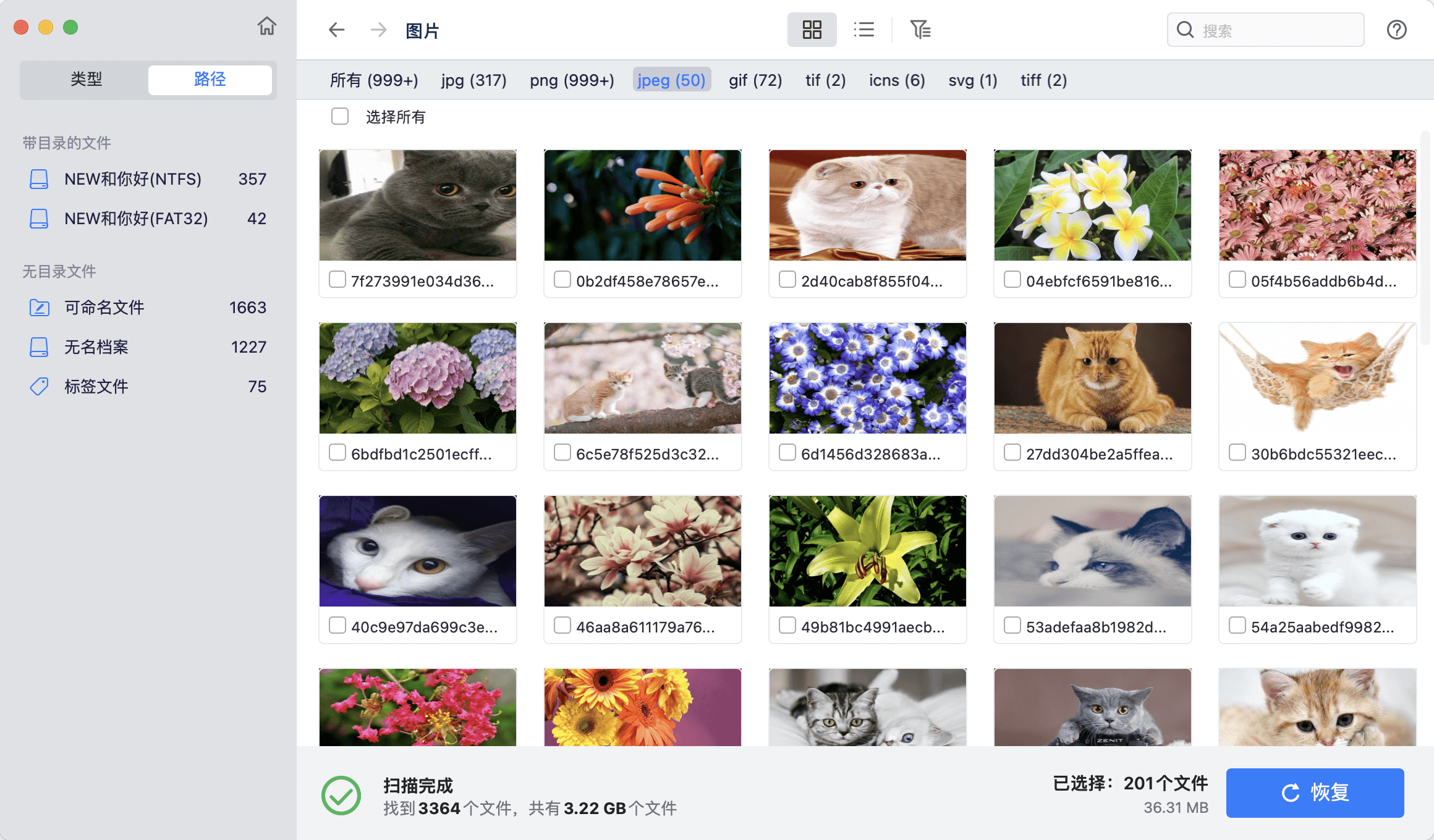 选择恢复数据